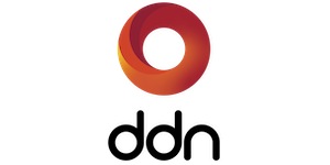 DDN logo